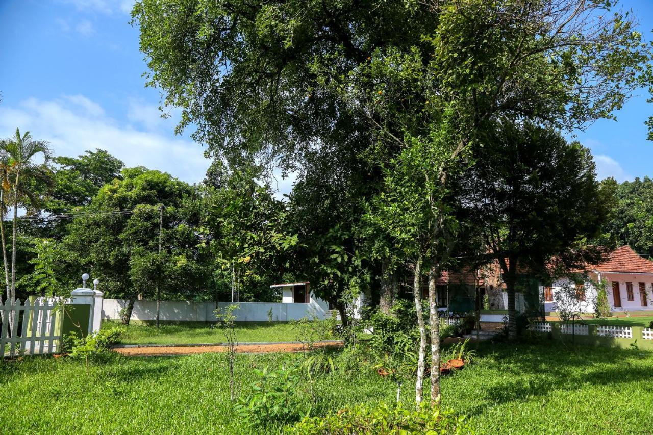 Akkara Homestay & Ayurveda Kottajam Kültér fotó